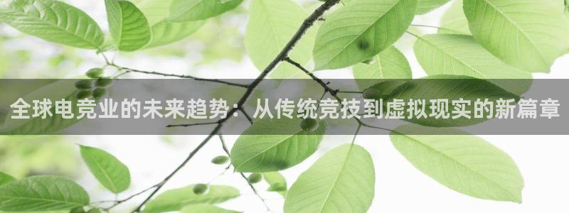 米兰电竞在线官网：全球电竞业的未来趋势：从传统竞技到虚拟现实的新篇章