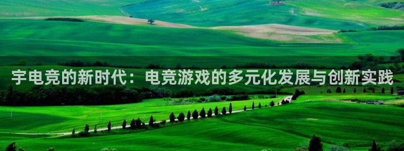 米兰电竞网站：宇电竞的新时代：电竞游戏的多元化发展与创新实践