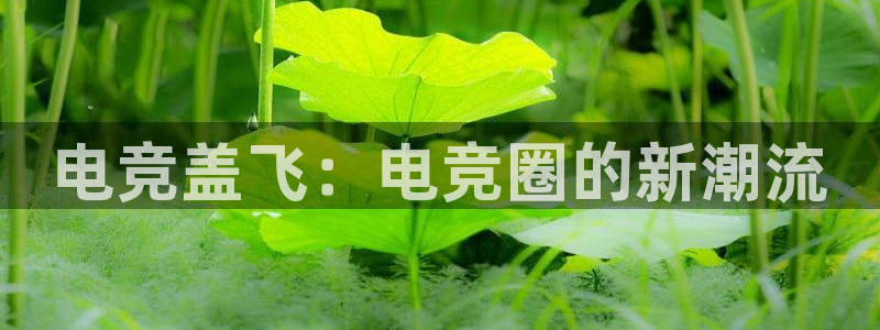 米兰电竞电子竞技平台：电竞盖飞：电竞圈的新潮流