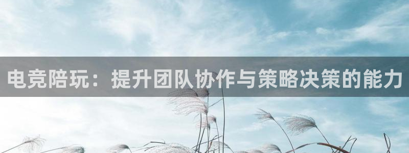 米兰电竞电子竞技平台：电竞陪玩：提升团队协作与策略决策的能力
