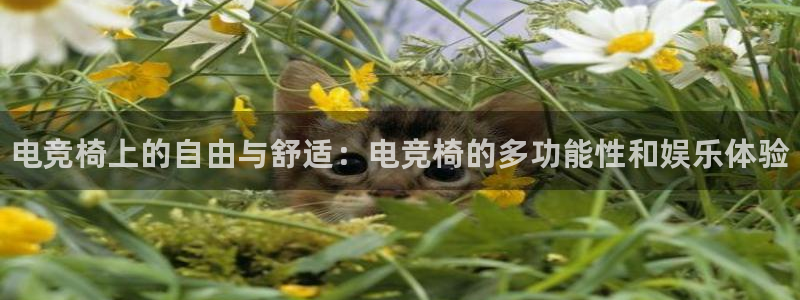 米兰电竞平台官网：电竞椅上的自由与舒适：电竞椅的多功能性和娱乐体验
