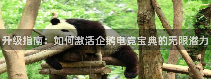 米兰电竞：升级指南：如何激活企鹅电竞宝典的无限潜力