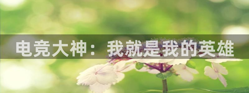 米兰电竞官网：电竞大神：我就是我的英雄