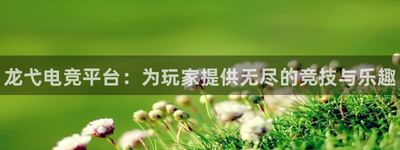 米兰电竞在线：龙弋电竞平台：为玩家提供无尽的竞技与乐趣