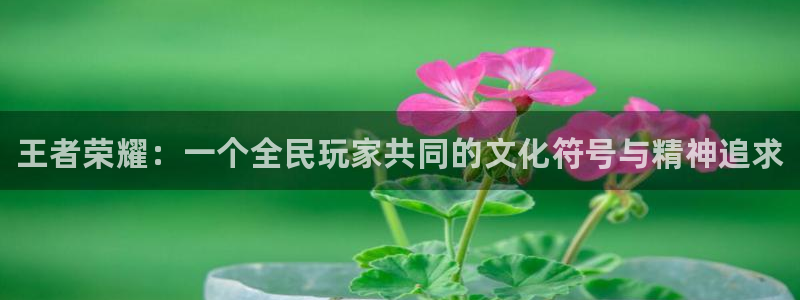 米兰电竞在线官网：王者荣耀：一个全民玩家共同的文化符号与精神追求