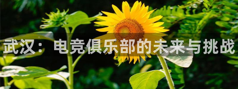 米兰电竞官方网站：武汉：电竞俱乐部的未来与挑战