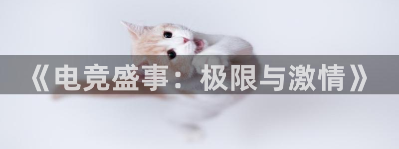 米兰电竞在线：《电竞盛事：极限与激情》