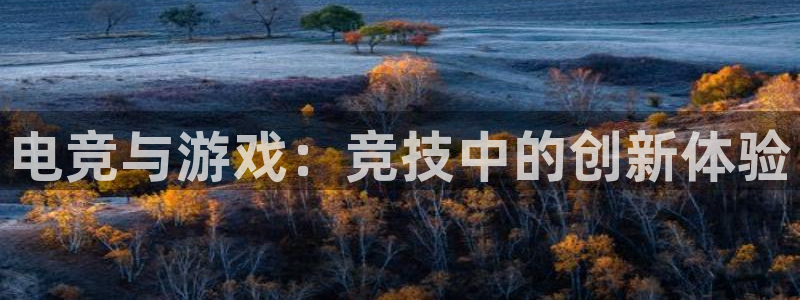 米兰电竞网站：电竞与游戏：竞技中的创新体验