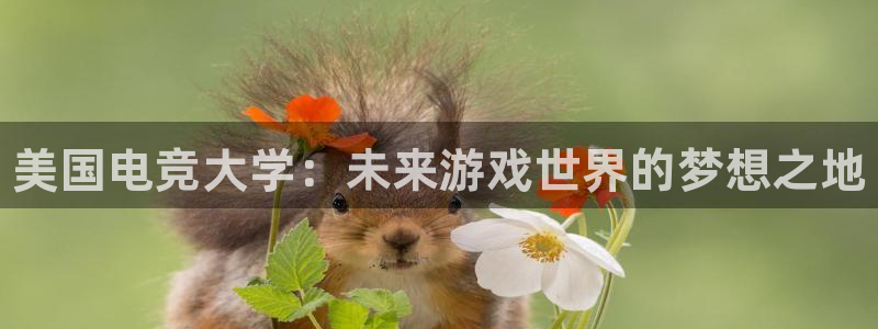米兰电竞电子竞技平台：美国电竞大学：未来游戏世界的梦想之地