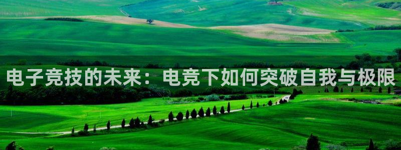 米兰电竞体育：电子竞技的未来：电竞下如何突破自我与极限