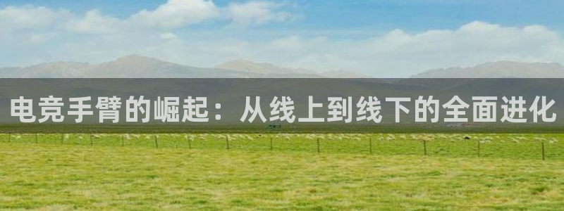 米兰电竞网站人口：电竞手臂的崛起：从线上到线下的全面进化