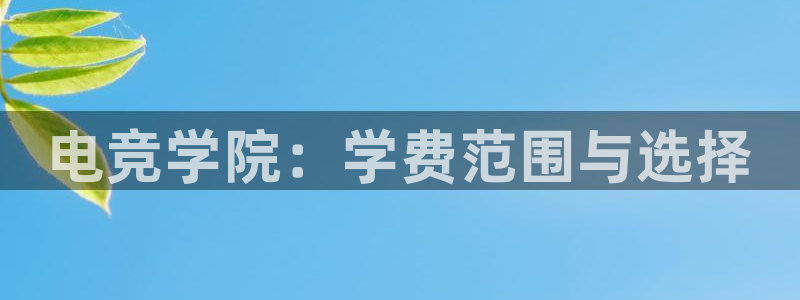 米兰电竞网站：电竞学院：学费范围与选择