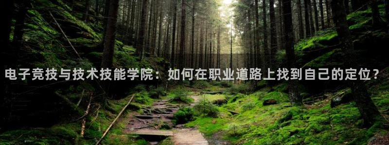 米兰电竞全站：电子竞技与技术技能学院：如何在职业道路上找到自己的定位？