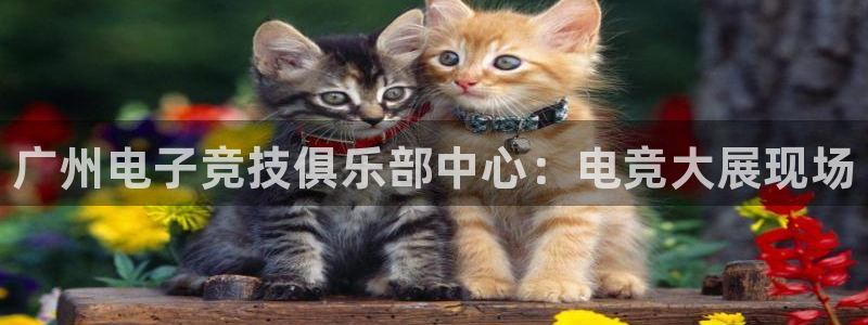 米兰电竞在线：广州电子竞技俱乐部中心：电竞大展现场