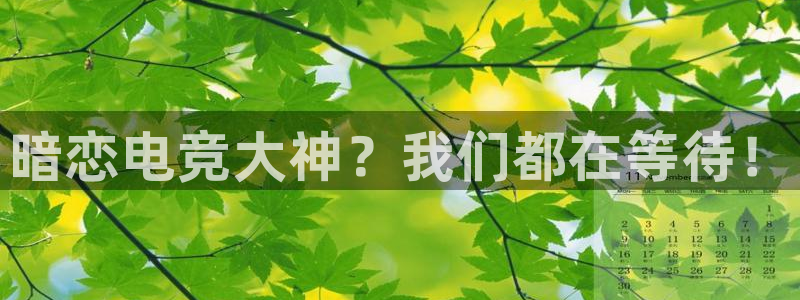 米兰电竞网页版入口：暗恋电竞大神？我们都在等待！