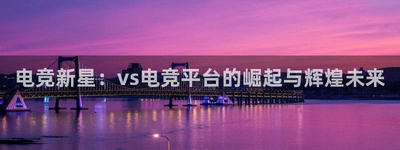 米兰电竞网站入口：电竞新星：vs电竞平台的崛起与辉煌未来
