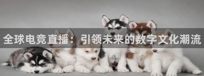 米兰电竞在线：全球电竞直播：引领未来的数字文化潮流