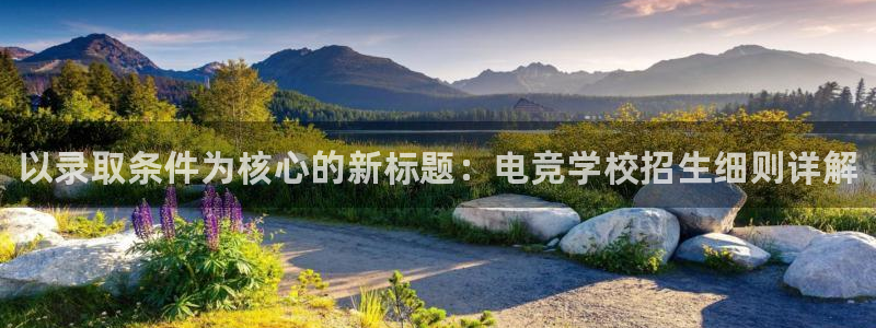 米兰电竞登录入口：以录取条件为核心的新标题：电竞学校招生细则详解