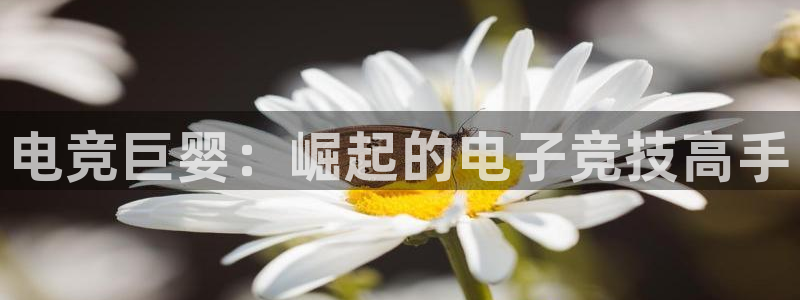 米兰电竞网站入口：电竞巨婴：崛起的电子竞技高手