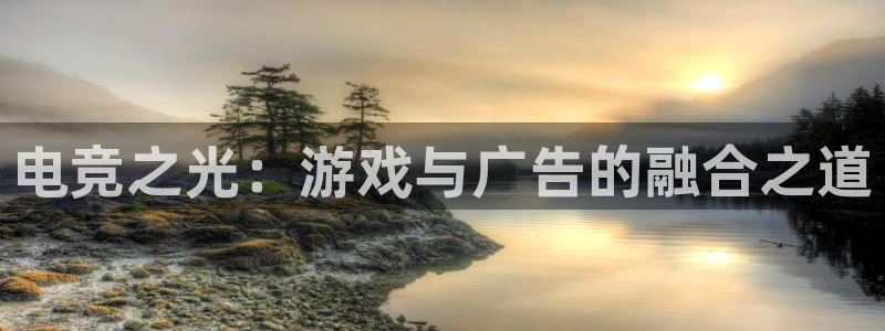 米兰电竞网站人口：电竞之光：游戏与广告的融合之道