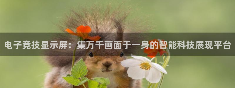 米兰电竞网站人口：电子竞技显示屏：集万千画面于一身的智能科技展现平台