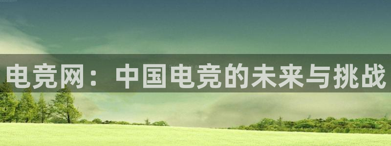 米兰电竞网址：电竞网：中国电竞的未来与挑战