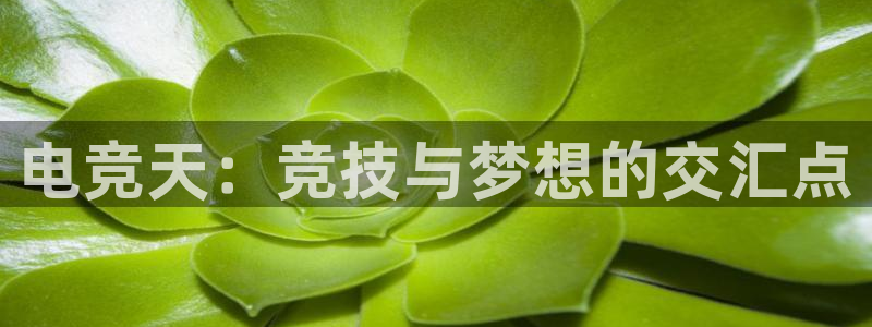 米兰电竞首页：电竞天：竞技与梦想的交汇点