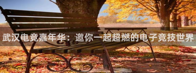 米兰电竞app下载：武汉电竞嘉年华：邀你一起超燃的电子竞技世界