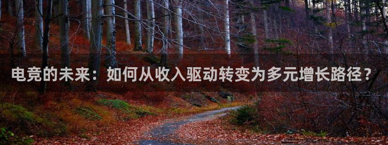 米兰电竞在线：电竞的未来：如何从收入驱动转变为多元增长路径？