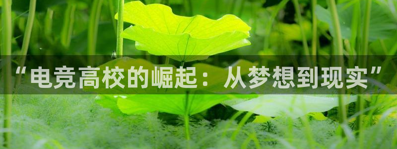 米兰电竞官方网站：“电竞高校的崛起：从梦想到现实”