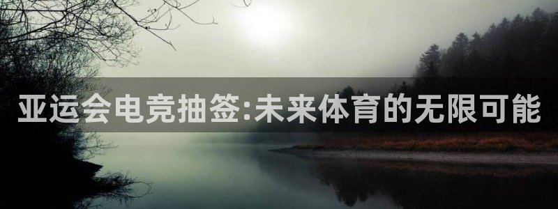 米兰电竞网站人口：亚运会电竞抽签:未来体育的无限可能