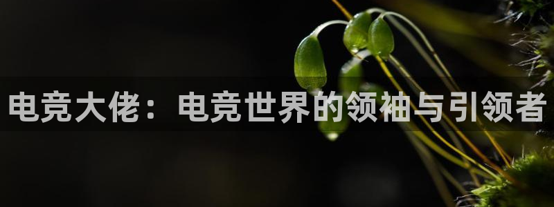 米兰电竞在线：电竞大佬：电竞世界的领袖与引领者