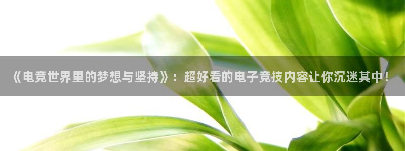 米兰电竞网站人口：《电竞世界里的梦想与坚持》：超好看的电子竞技内容让你沉迷其中！