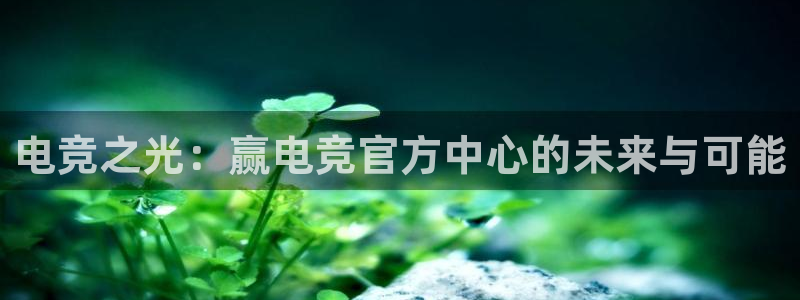 米兰电竞网站：电竞之光：赢电竞官方中心的未来与可能