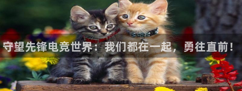 米兰电竞下载：守望先锋电竞世界：我们都在一起，勇往直前！