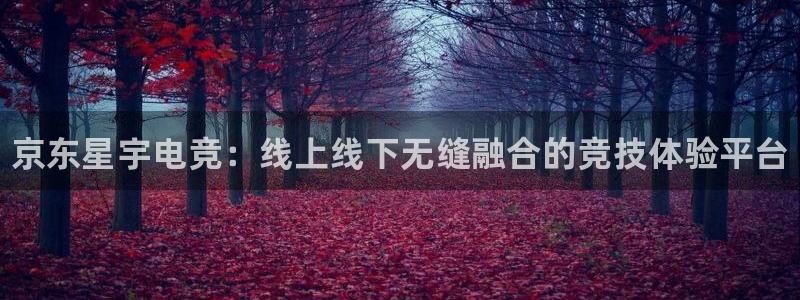 米兰电竞下载：京东星宇电竞：线上线下无缝融合的竞技体验平台