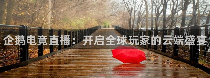 米兰电竞官网：企鹅电竞直播：开启全球玩家的云端盛宴