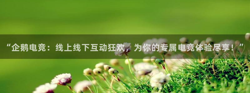 米兰电竞app下载：“企鹅电竞：线上线下互动狂欢，为你的专属电竞体验尽享！”