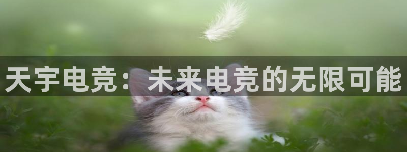 米兰电竞全站：天宇电竞：未来电竞的无限可能