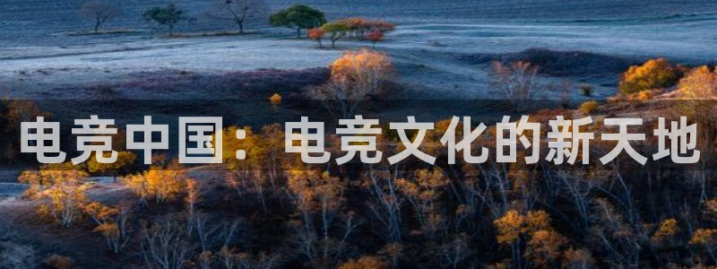 米兰电竞网站入口：电竞中国：电竞文化的新天地