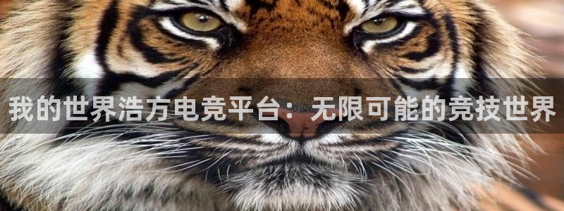 米兰电竞登录入口：我的世界浩方电竞平台：无限可能的竞技世界