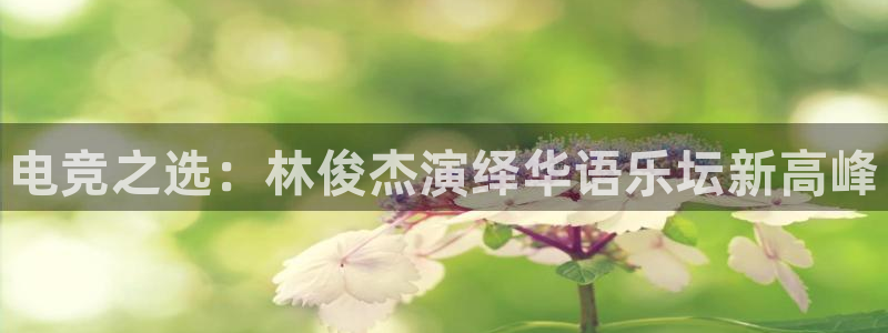 米兰电竞全站：电竞之选：林俊杰演绎华语乐坛新高峰