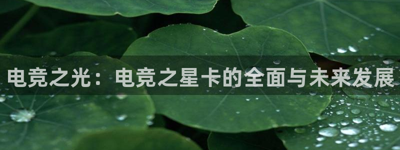 米兰电竞app下载：电竞之光：电竞之星卡的全面与未来发展