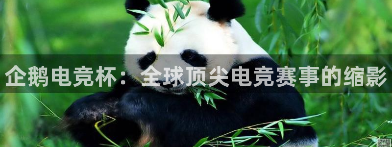 米兰电竞官网：企鹅电竞杯：全球顶尖电竞赛事的缩影