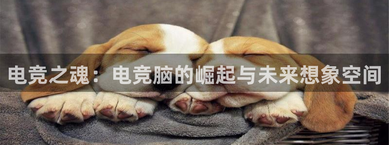 米兰电竞平台：电竞之魂：电竞脑的崛起与未来想象空间