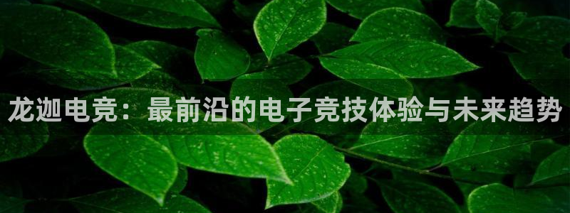 米兰电竞网站人口：龙迦电竞：最前沿的电子竞技体验与未来趋势