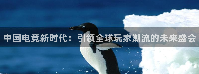 米兰电竞登录入口：中国电竞新时代：引领全球玩家潮流的未来盛会