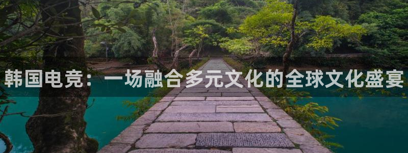 米兰电竞网站：韩国电竞：一场融合多元文化的全球文化盛宴