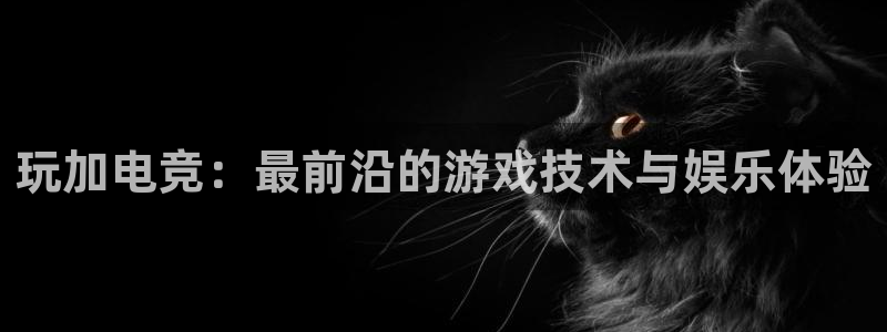 米兰电竞登录入口：玩加电竞：最前沿的游戏技术与娱乐体验